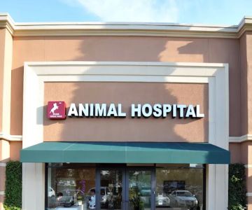 Irvine Great Park Animal Hospital