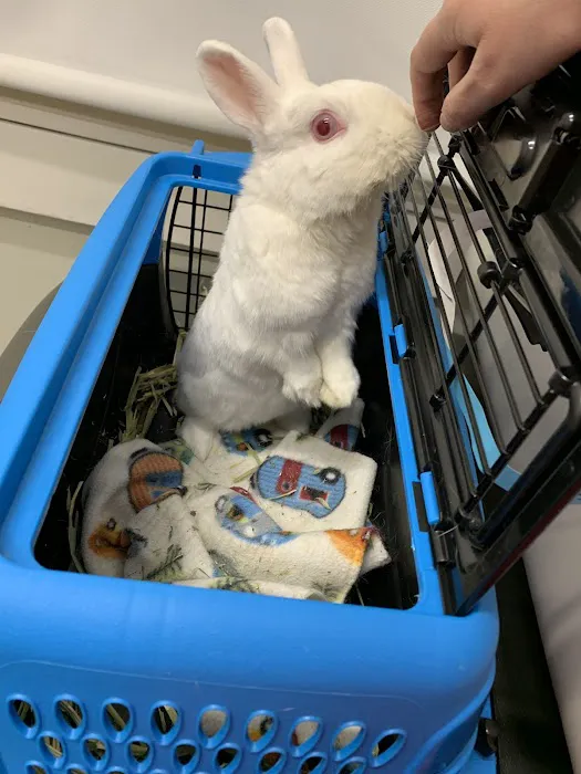 Irvine Valley Veterinary Hospital Emergency 3