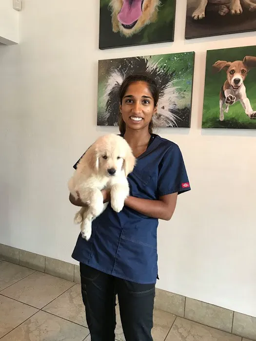 Irvine Valley Veterinary Hospital Emergency 10