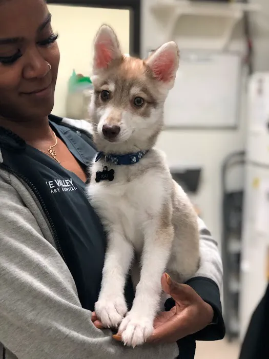 Irvine Valley Veterinary Hospital Emergency 5