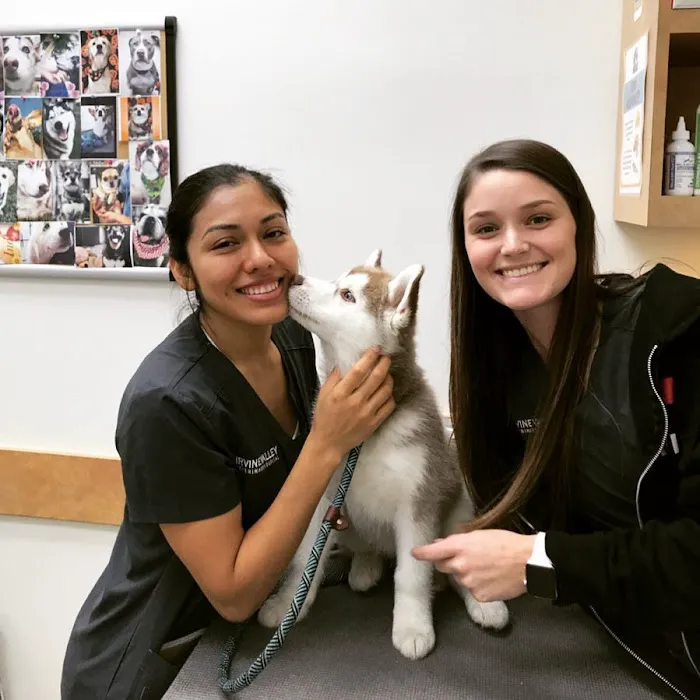 Irvine Valley Veterinary Hospital Emergency 7