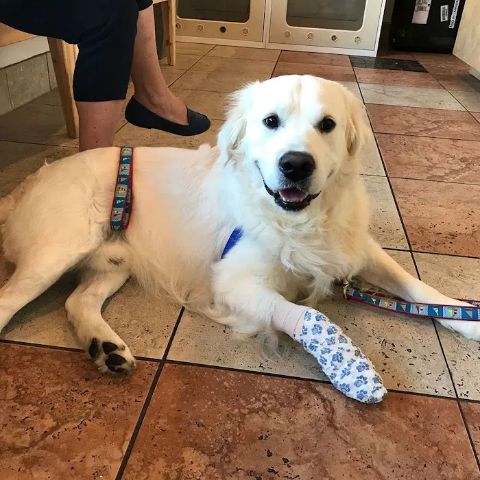 Irvine Valley Veterinary Hospital Emergency 9