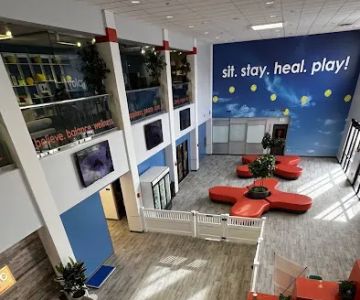 Paw Sweet Paw | Pet Resorts