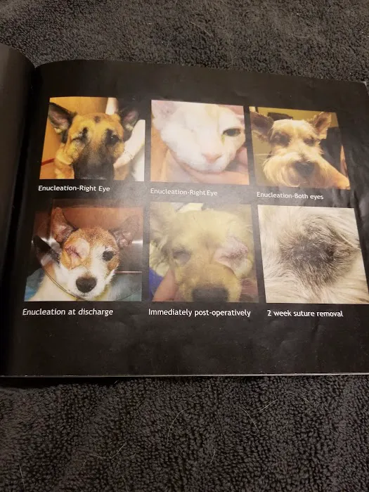 Eye Care for Animals - Torrance 5