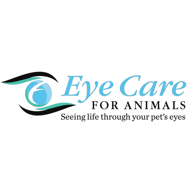 Eye Care for Animals - Torrance 6