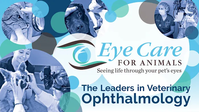 Eye Care for Animals - Torrance 9