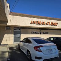 Skypark Animal Hospital ico