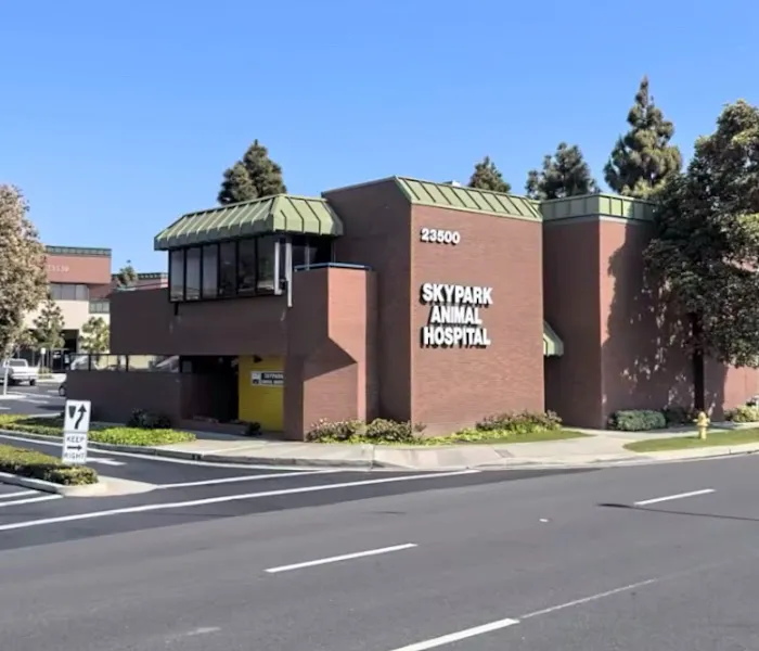 Skypark Animal Hospital 5