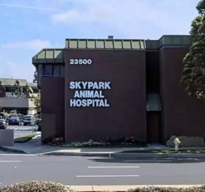 Skypark Animal Hospital 3