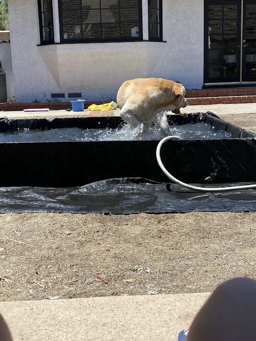 Country Hills Animal Clinic 4