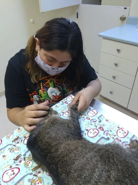 Country Hills Animal Clinic 8