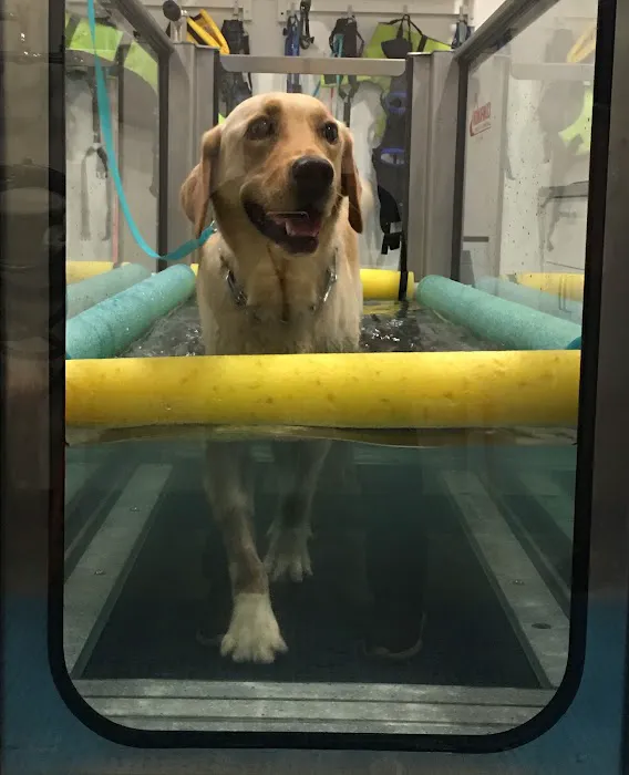 Beach Animal Rehabilitation 8