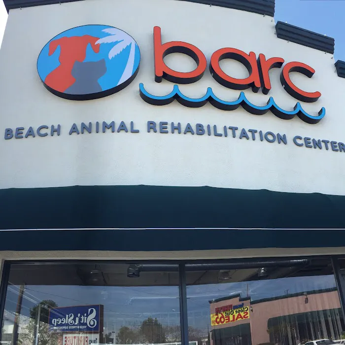 Beach Animal Rehabilitation 9