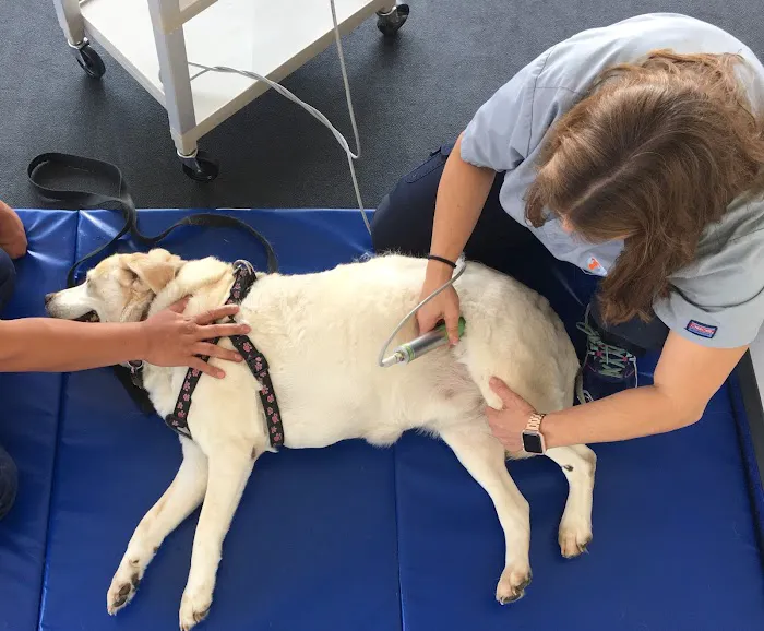 Beach Animal Rehabilitation 3