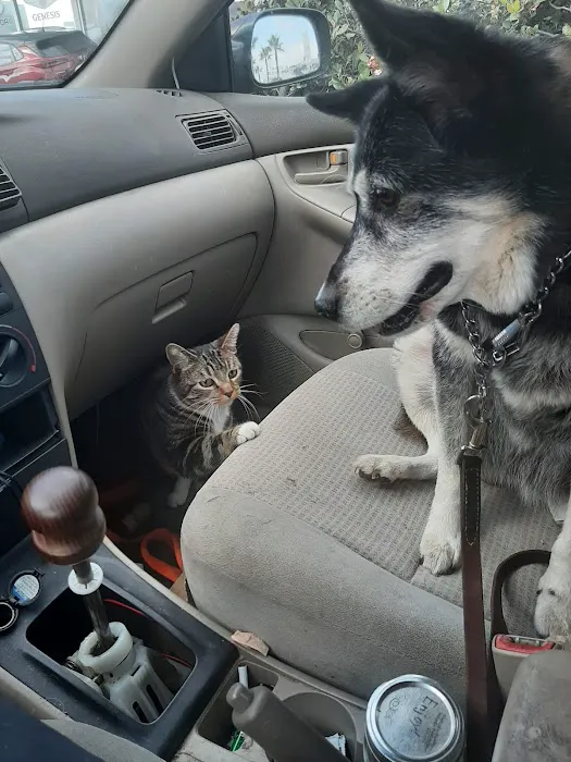 Bay Cities Pet Hospital 9