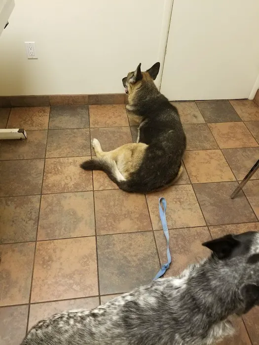 Bay Cities Pet Hospital 5