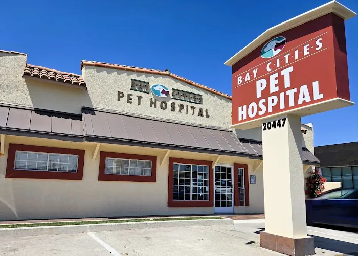 Bay Cities Pet Hospital 2