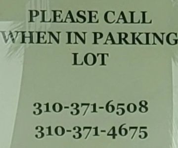 Bay Cities Pet Hospital Inc: Rios Norma J DVM