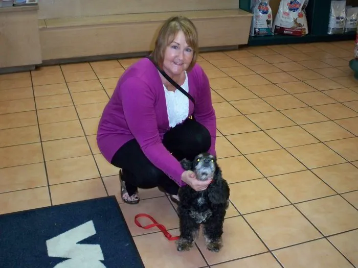 VCA Clarmar Animal Hospital 10