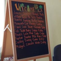 VCA Clarmar Animal Hospital ico