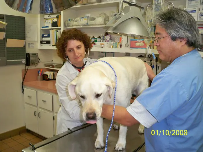 VCA Clarmar Animal Hospital 8