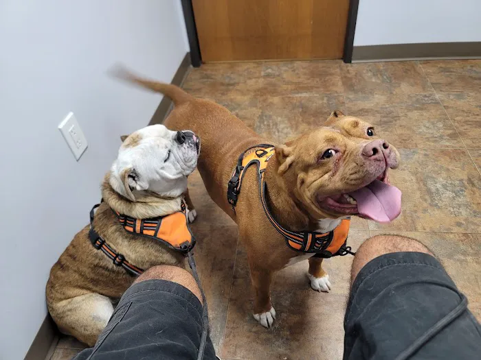 Redwood Animal Hospital 9