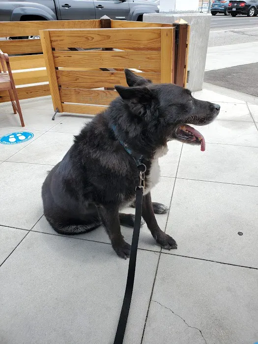 Redwood Animal Hospital 6