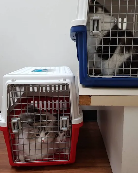 Lomita Pet Hospital 2