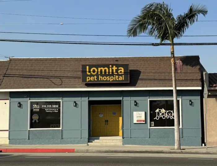 Lomita Pet Hospital 10