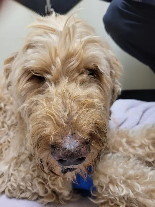 Vetco Total Care Animal Hospital 6