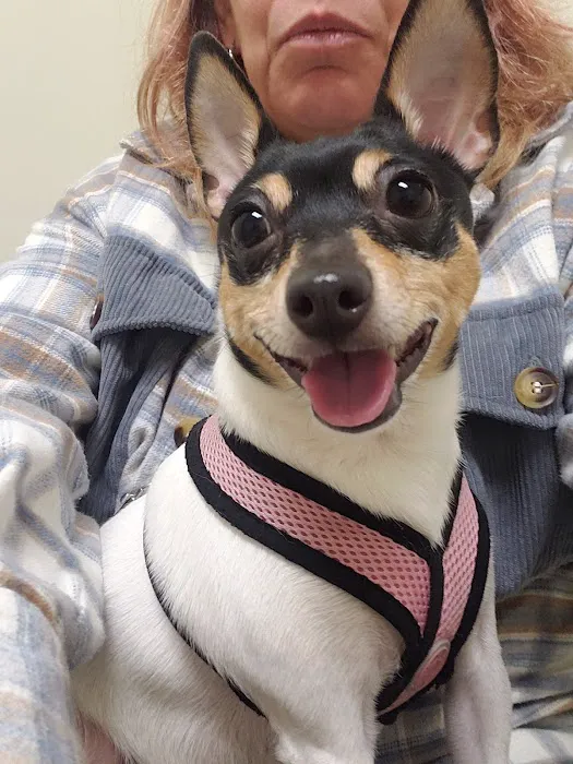 Vetco Total Care Animal Hospital 10