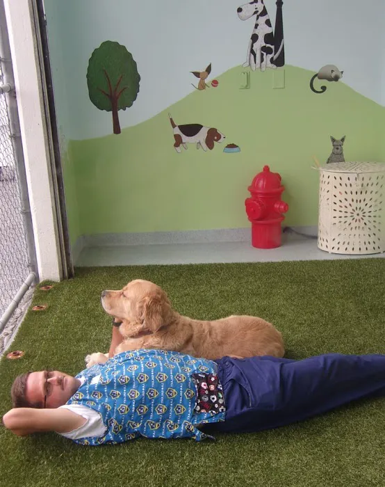 Plaza Del Amo Animal Hospital & Pet Keeper 10