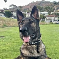 Plaza Del Amo Animal Hospital & Pet Keeper ico
