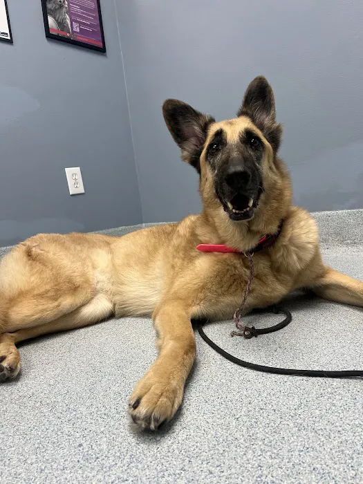 Plaza Del Amo Animal Hospital & Pet Keeper 3