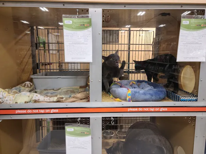 Banfield Pet Hospital 2