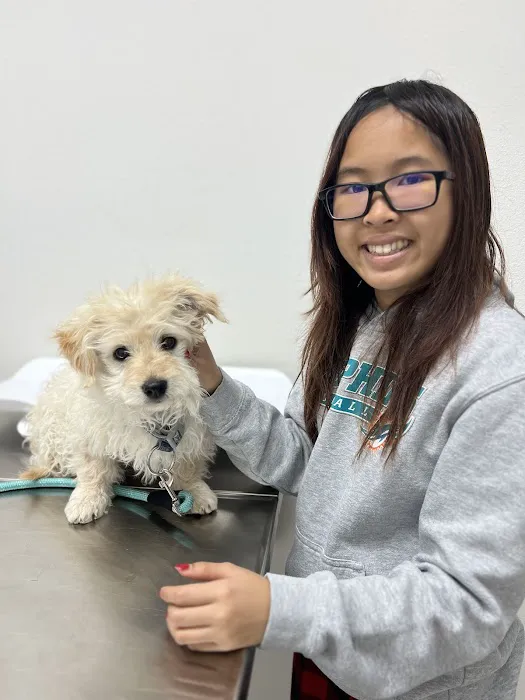 Animal Hospital of South Bay 1