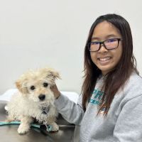 Animal Hospital of South Bay ico