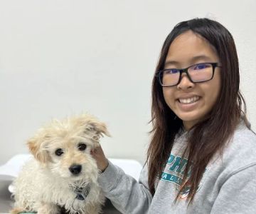 Animal Hospital of South Bay