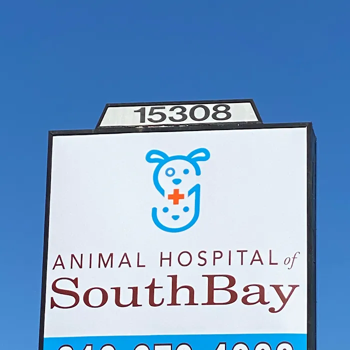 Animal Hospital of South Bay 10