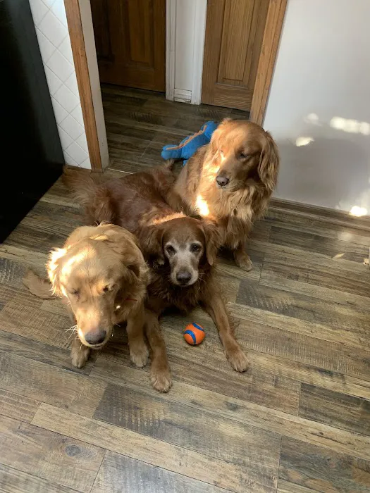 Animal Hospital of South Bay 8