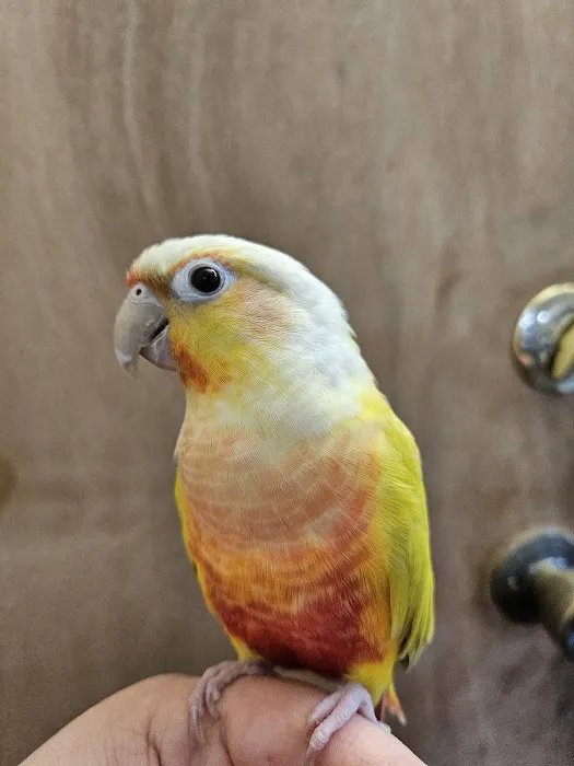 Avian & Exotic Animal Hospital 3