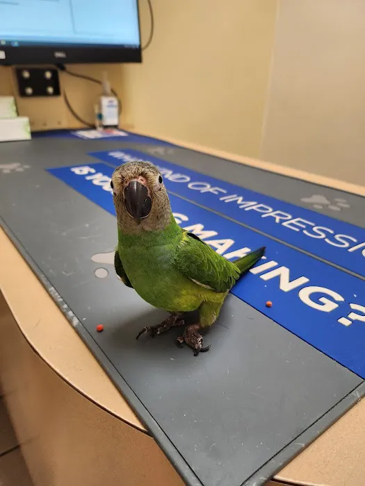 Avian & Exotic Animal Hospital 4