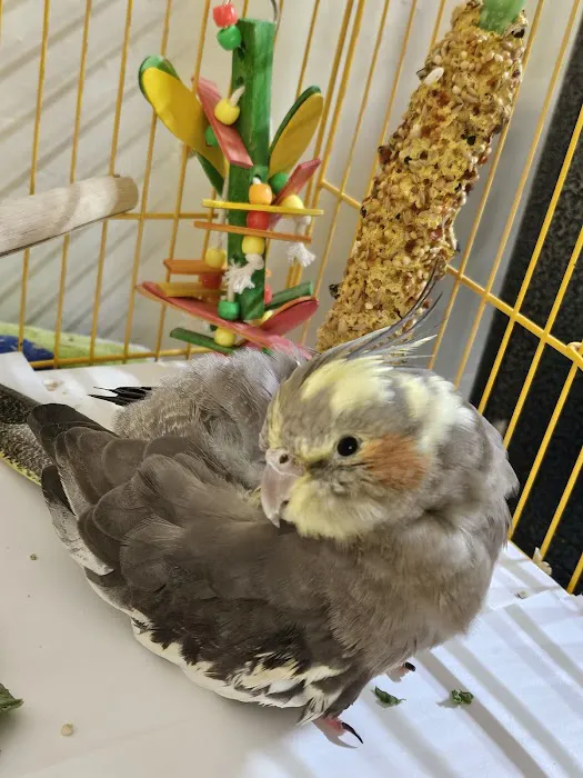 Avian & Exotic Animal Hospital 6