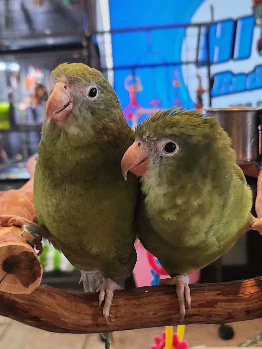 Avian & Exotic Animal Hospital 2