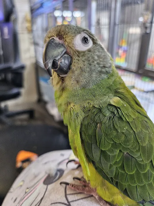 Avian & Exotic Animal Hospital 5