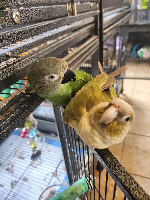 Avian & Exotic Animal Hospital 10