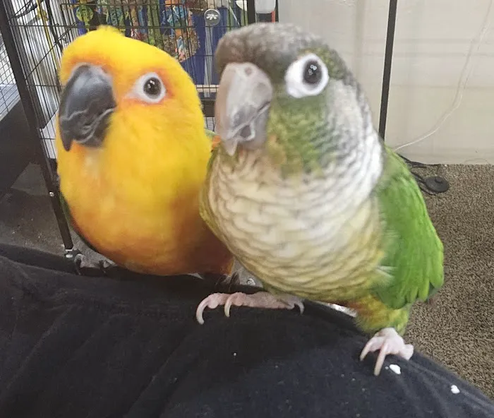 Avian & Exotic Animal Hospital 7