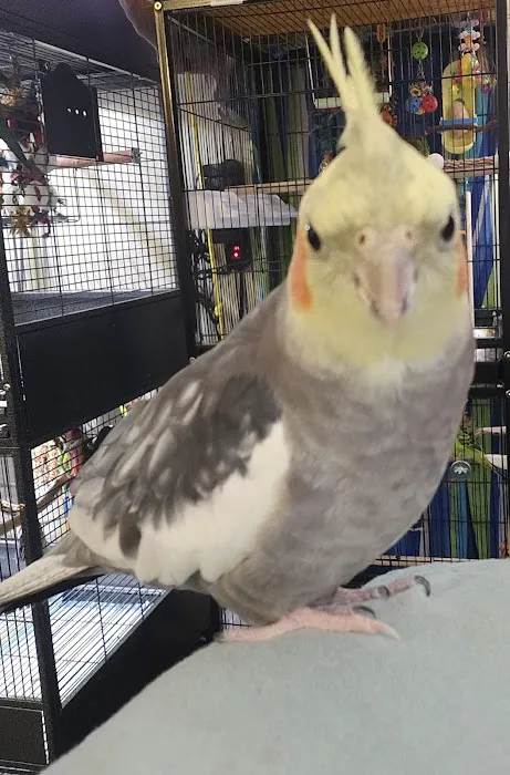 Avian & Exotic Animal Hospital 9
