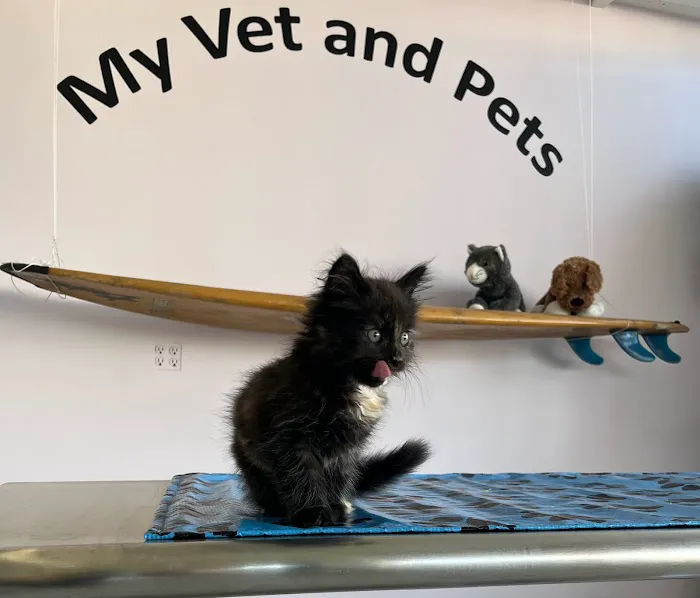 My Vet and Pets Drive-Thru Veterinary Clinic 8