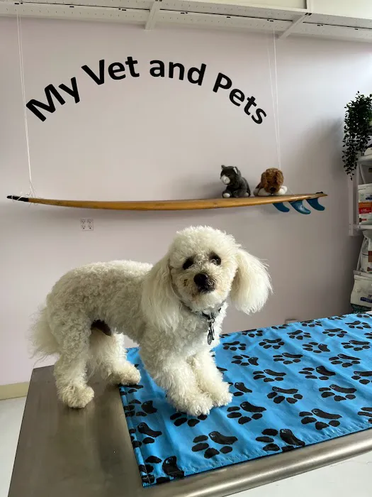 My Vet and Pets Drive-Thru Veterinary Clinic 6